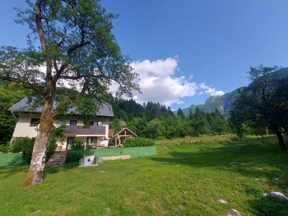 Apartmaji Katrc Soca Luaran gambar