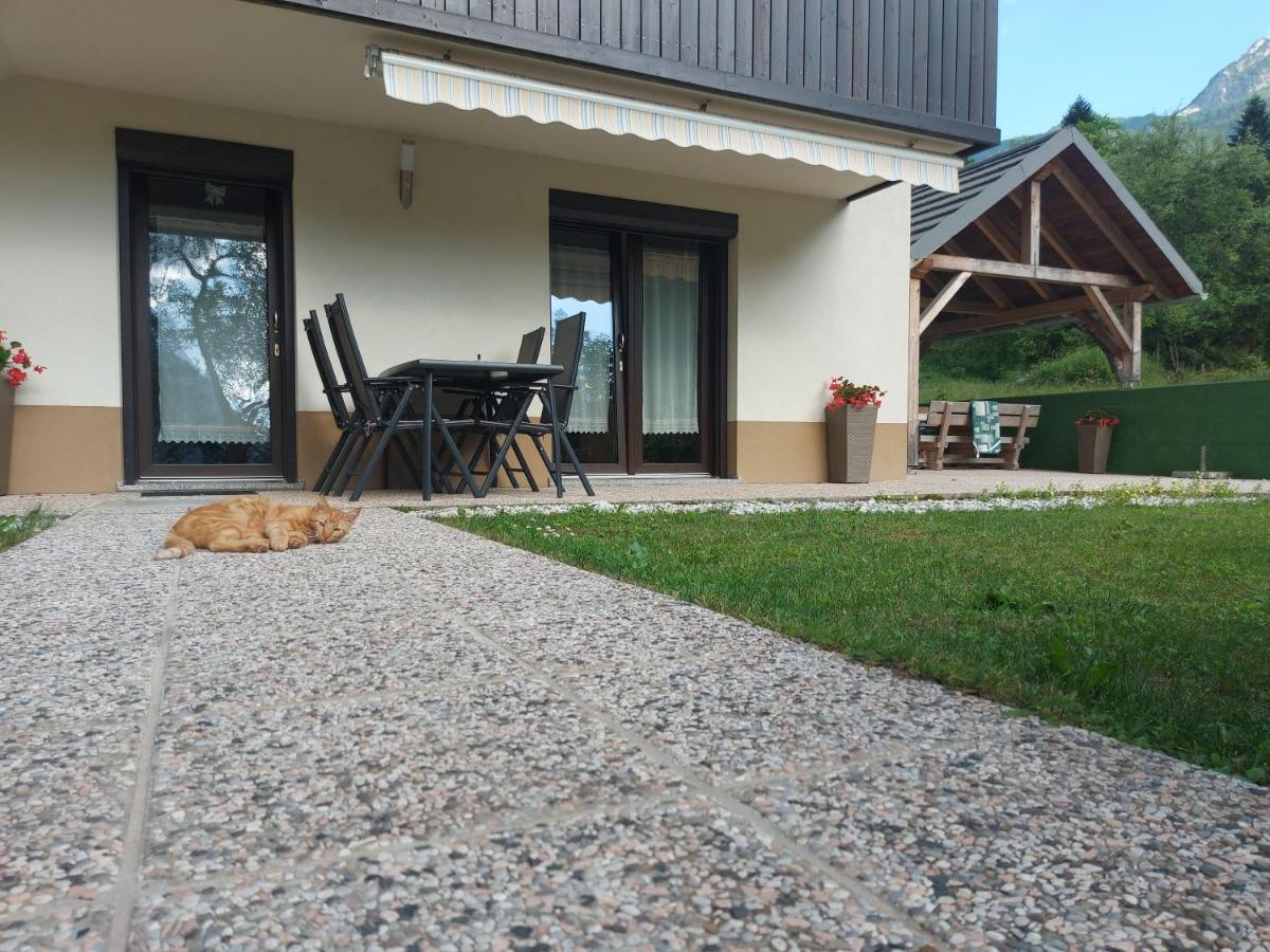 Apartmaji Katrc Soca Luaran gambar